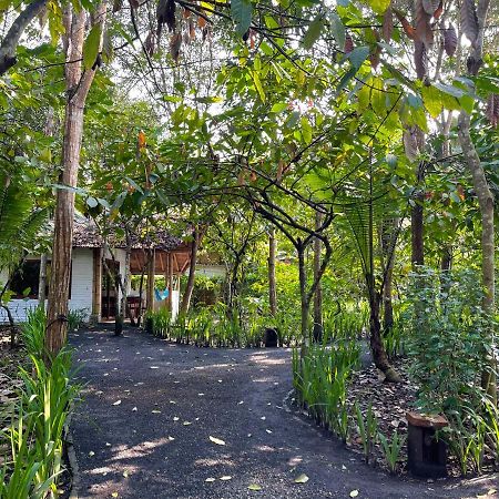 El Campito Lodge Ayampe Kültér fotó