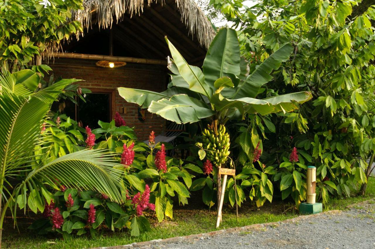 El Campito Lodge Ayampe Kültér fotó