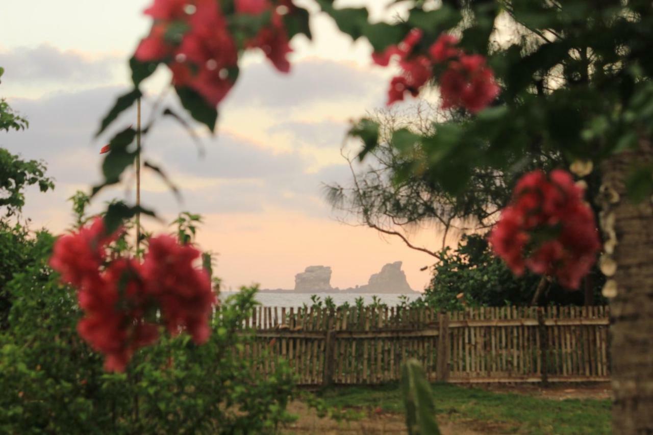 El Campito Lodge Ayampe Szoba fotó