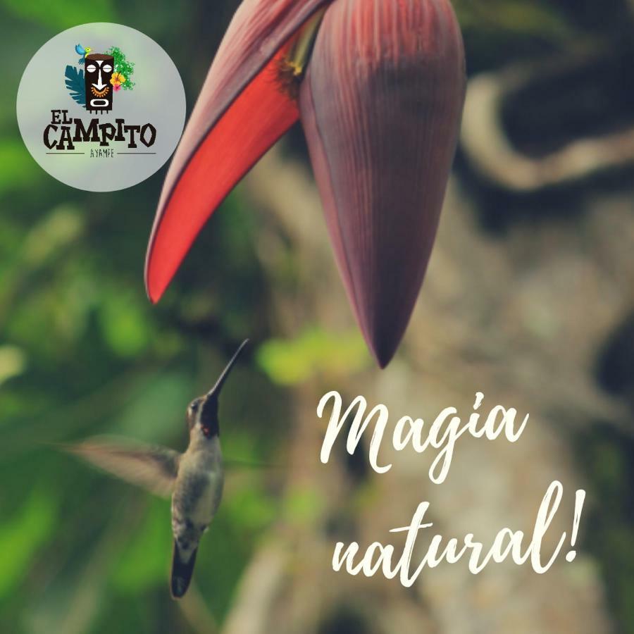 El Campito Lodge Ayampe Kültér fotó